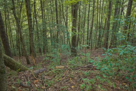 14-17 Conasauga Drive Ellijay GA 30540
