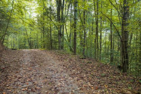 14-17 Conasauga Drive Ellijay GA 30540