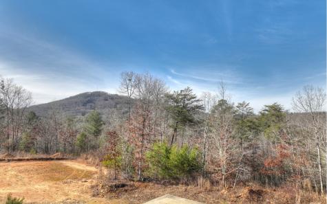 200 Old Bellwood School Road Mineral Bluff GA 30559