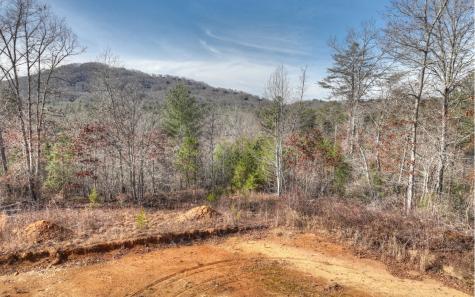 200 Old Bellwood School Road Mineral Bluff GA 30559