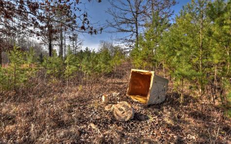 200 Old Bellwood School Road Mineral Bluff GA 30559