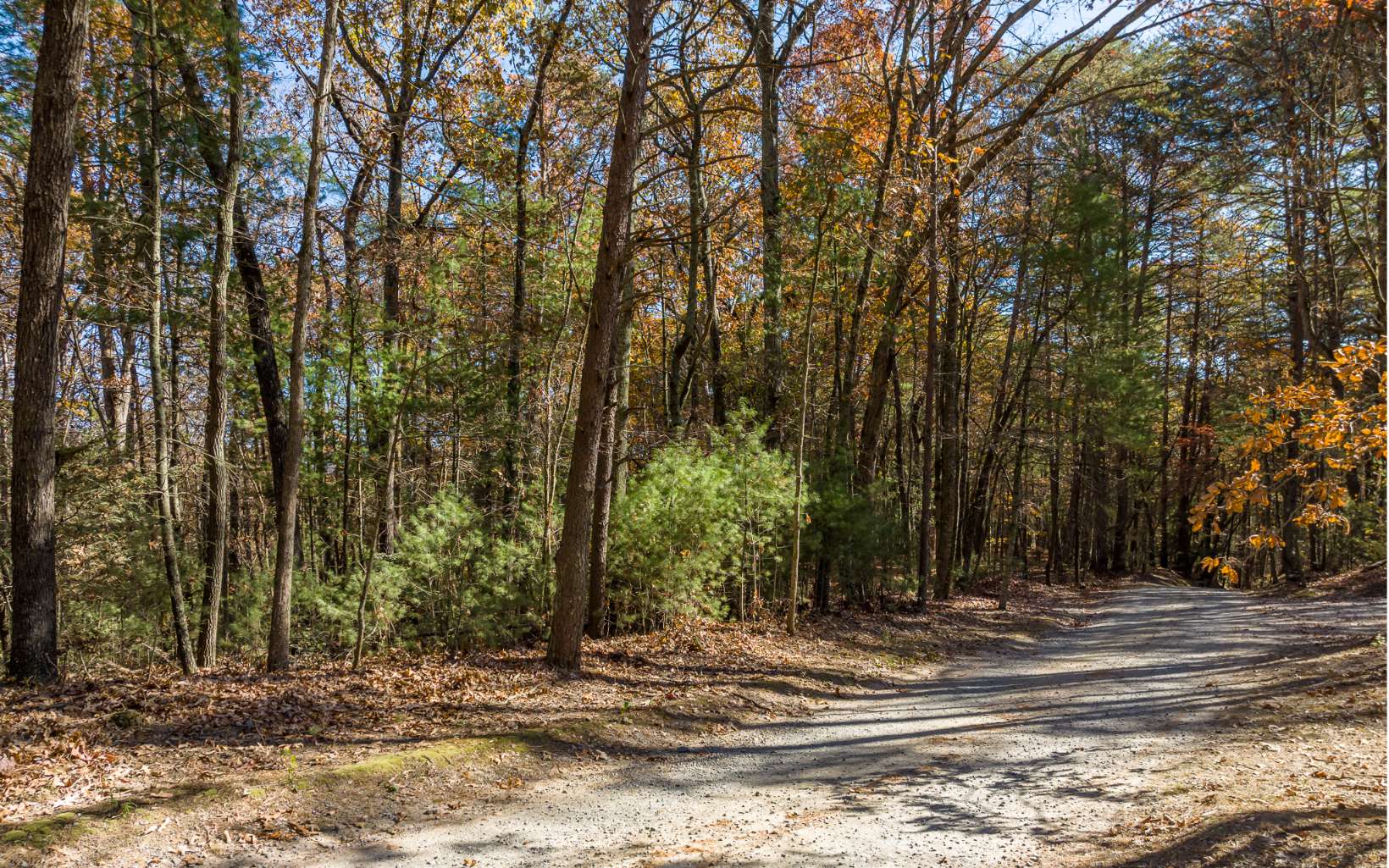 2 Tr Old Anderson Creek Ellijay GA 30536