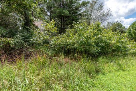 Lot T-5 Talona Mountain Road Ellijay GA 30563