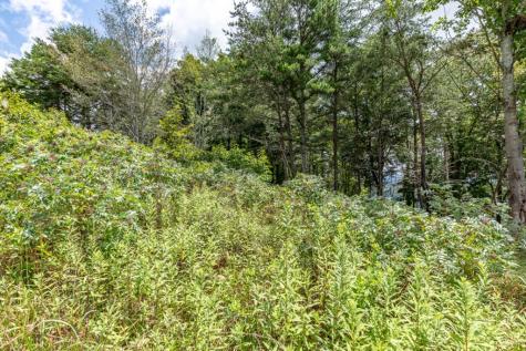 Lot T-5 Talona Mountain Road Ellijay GA 30563
