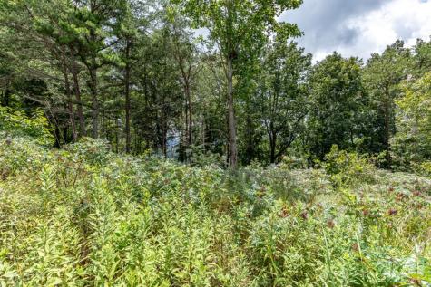 Lot T-5 Talona Mountain Road Ellijay GA 30563