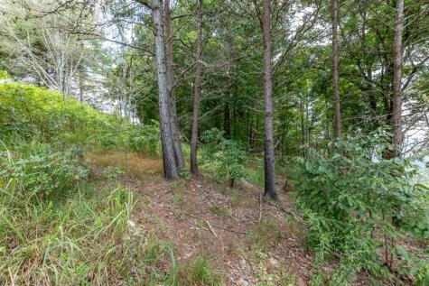 Lot T-5 Talona Mountain Road Ellijay GA 30563