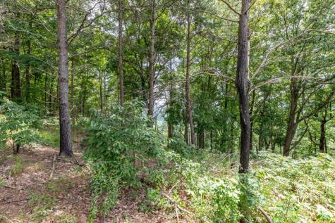 Lot T-5 Talona Mountain Road Ellijay GA 30563