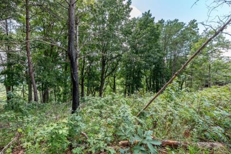 Lot T-5 Talona Mountain Road Ellijay GA 30563