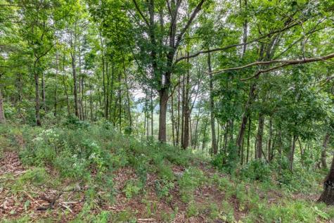 Lot T-5 Talona Mountain Road Ellijay GA 30563
