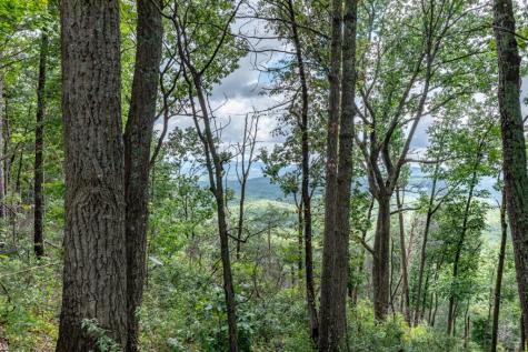 Lot T-5 Talona Mountain Road Ellijay GA 30563
