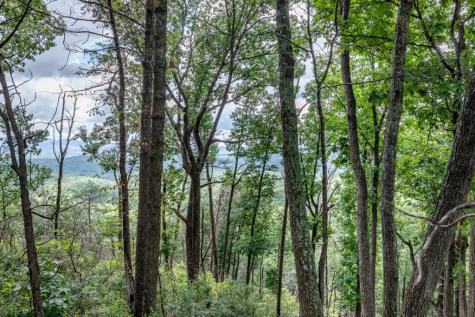 Lot T-5 Talona Mountain Road Ellijay GA 30563