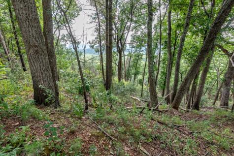 Lot T-5 Talona Mountain Road Ellijay GA 30563