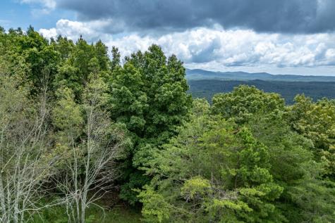 Lot T-5 Talona Mountain Road Ellijay GA 30563