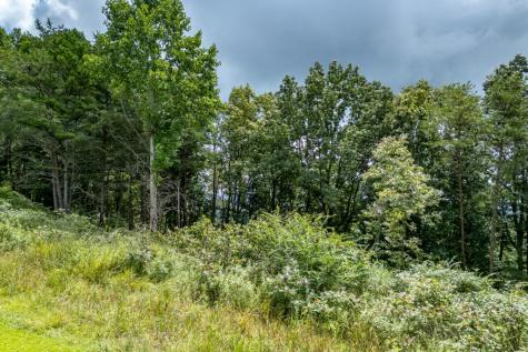 Lot T-5 Talona Mountain Road Ellijay GA 30563