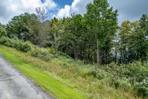 Lot T-5 Talona Mountain Road Ellijay GA 30563
