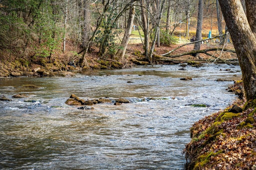 5.15 Ac Spence Road Blue Ridge GA 30513