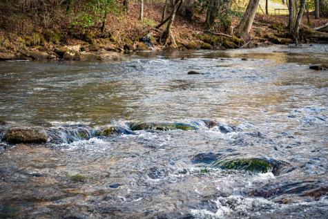 5.15 Ac Spence Road Blue Ridge GA 30513