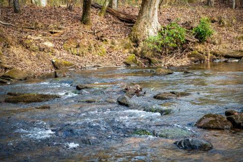 5.15 Ac Spence Road Blue Ridge GA 30513