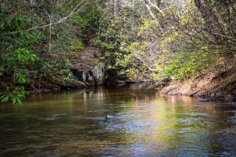 5.15 Ac Spence Road Blue Ridge GA 30513