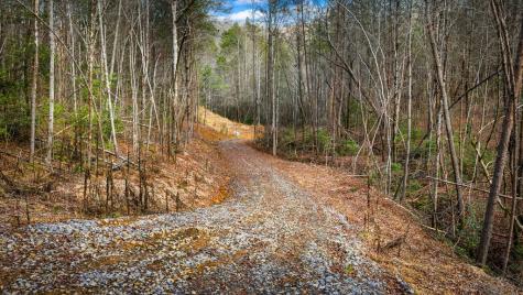 5.15 Ac Spence Road Blue Ridge GA 30513