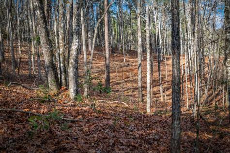 5.15 Ac Spence Road Blue Ridge GA 30513