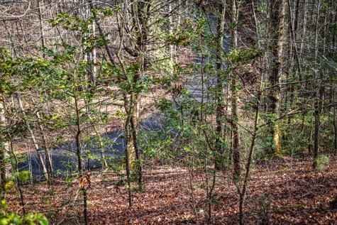 5.15 Ac Spence Road Blue Ridge GA 30513
