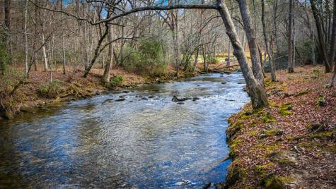 5.15 Ac Spence Road Blue Ridge GA 30513