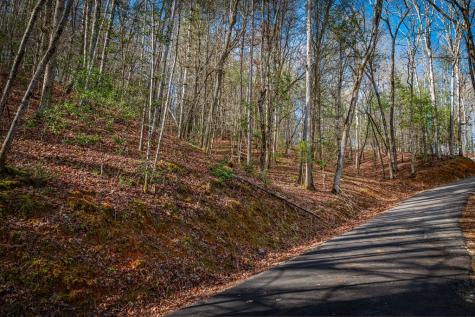 5.15 Ac Spence Road Blue Ridge GA 30513
