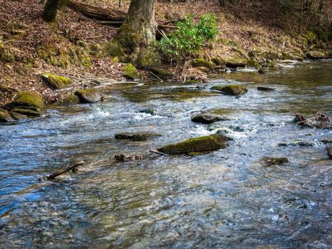 5.15 Ac Spence Road Blue Ridge GA 30513
