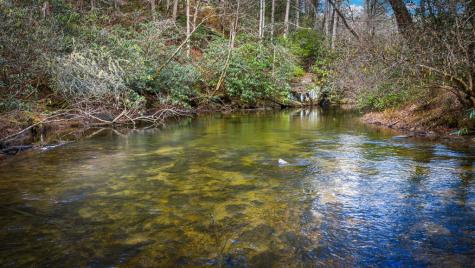 5.15 Ac Spence Road Blue Ridge GA 30513