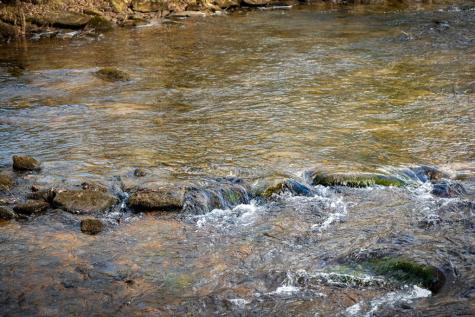 5.15 Ac Spence Road Blue Ridge GA 30513