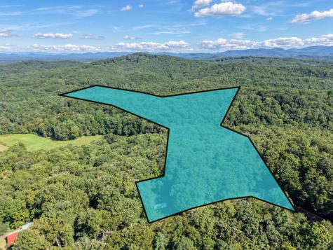 22.5 Ac Highway 2 Blue Ridge GA 30513