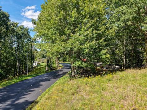 22.5 Ac Highway 2 Blue Ridge GA 30513