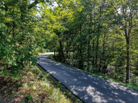 22.5 Ac Highway 2 Blue Ridge GA 30513