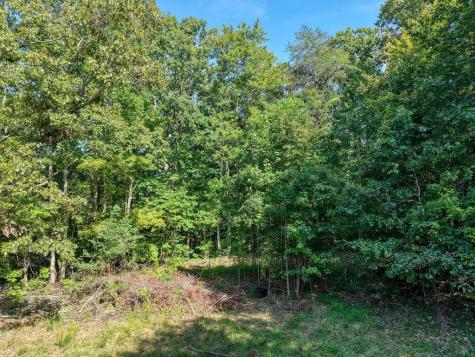 22.5 Ac Highway 2 Blue Ridge GA 30513