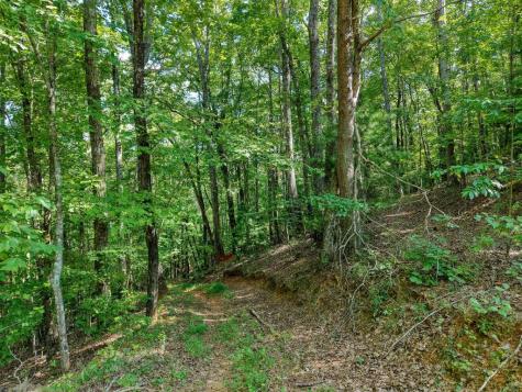 22.5 Ac Highway 2 Blue Ridge GA 30513