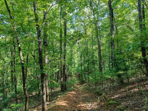 22.5 Ac Highway 2 Blue Ridge GA 30513