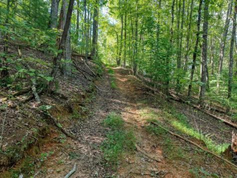 22.5 Ac Highway 2 Blue Ridge GA 30513