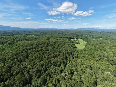 22.5 Ac Highway 2 Blue Ridge GA 30513