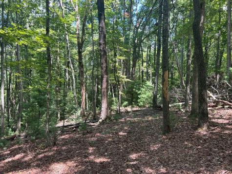 22.5 Ac Highway 2 Blue Ridge GA 30513