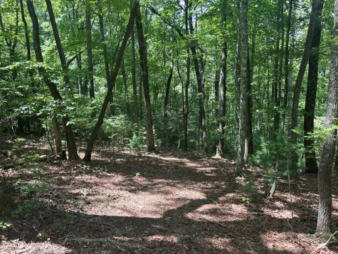 22.5 Ac Highway 2 Blue Ridge GA 30513