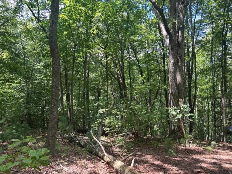 22.5 Ac Highway 2 Blue Ridge GA 30513