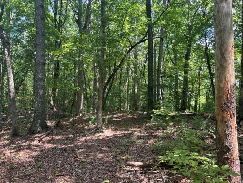 22.5 Ac Highway 2 Blue Ridge GA 30513