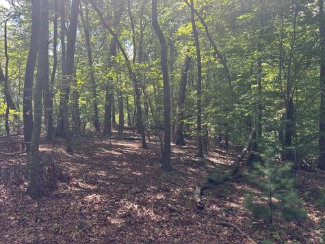 22.5 Ac Highway 2 Blue Ridge GA 30513