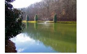 58 29th Street Ellijay GA 30540