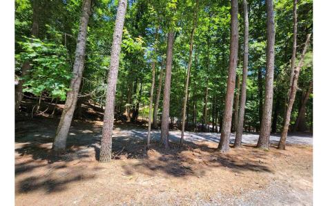 58 29th Street Ellijay GA 30540