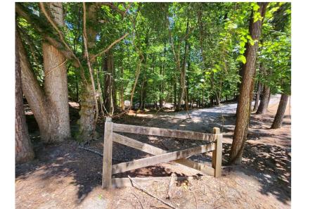 58 29th Street Ellijay GA 30540
