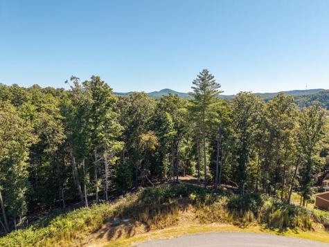 Lot 62 Ridge Drive Blue Ridge GA 30513