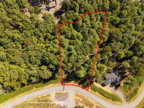 Lot 62 Ridge Drive Blue Ridge GA 30513