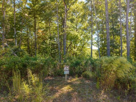 Lot 62 Ridge Drive Blue Ridge GA 30513